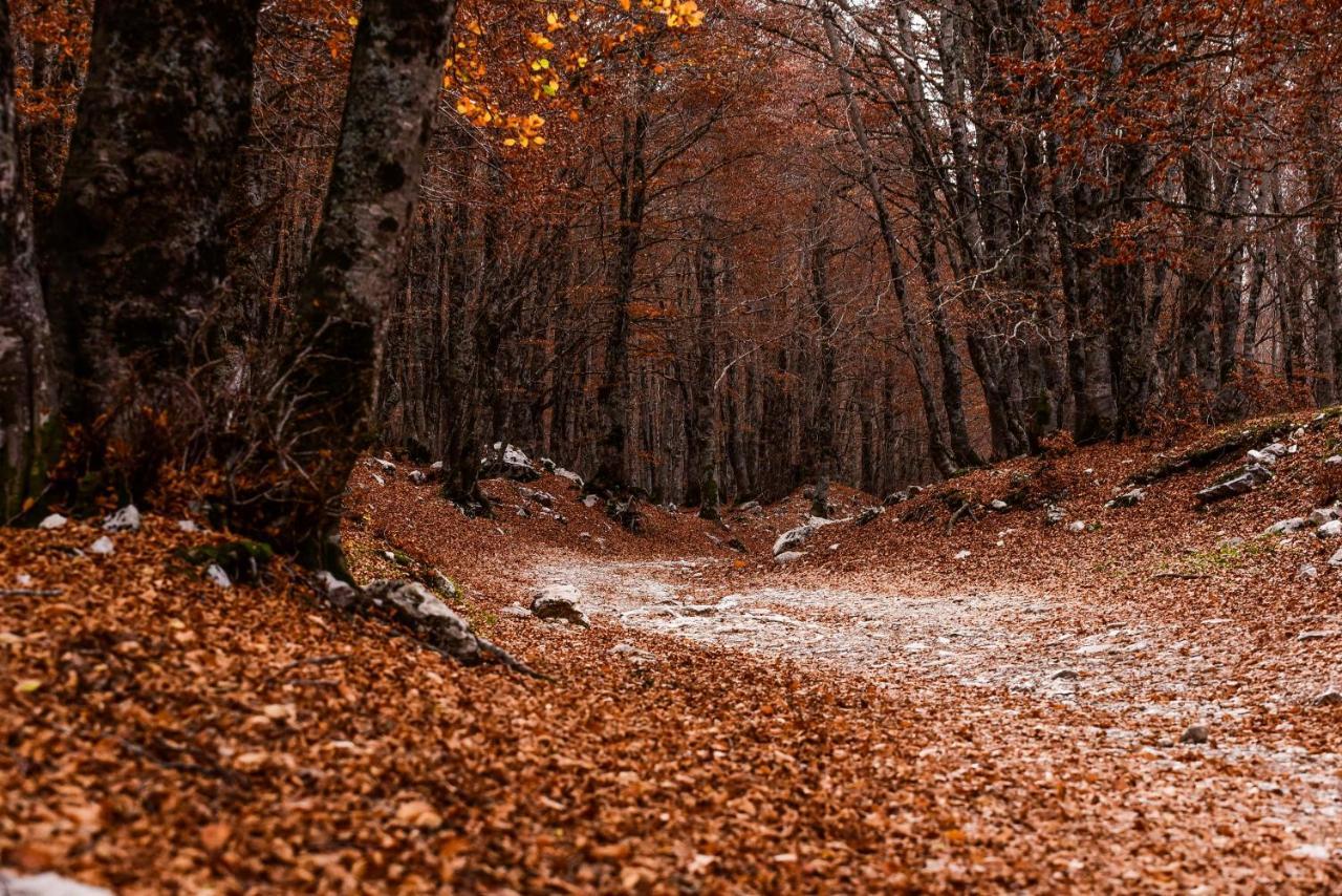 Appartamento A Campo Felice - Treeffe Collimento Экстерьер фото