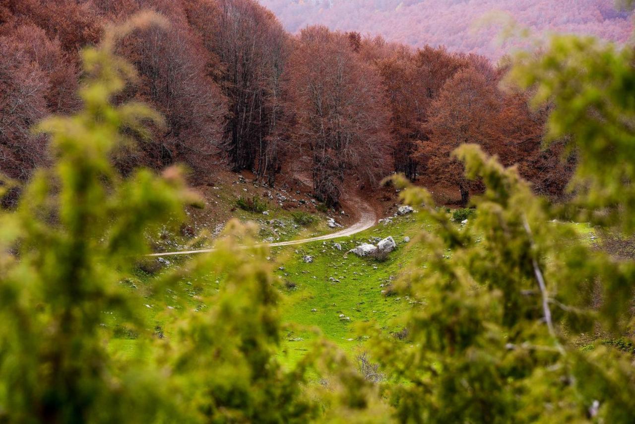 Appartamento A Campo Felice - Treeffe Collimento Экстерьер фото